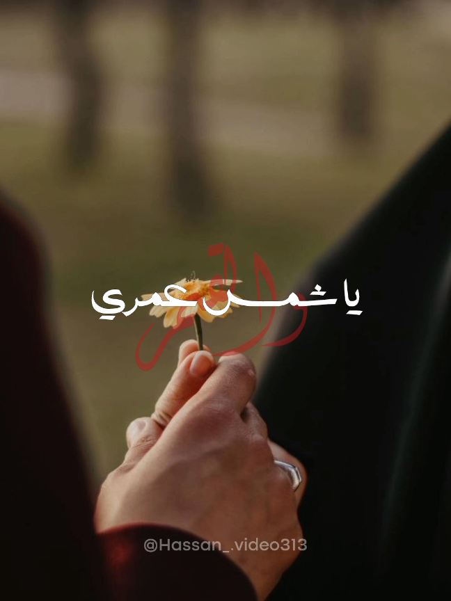 !♥️🥹يا شمس عمري والقمر . . . . . #تصميم_فيديوهات🎶🎤🎬 #منشئ_محتوى #حب #couple #fyppppppppppppppppppppppp 