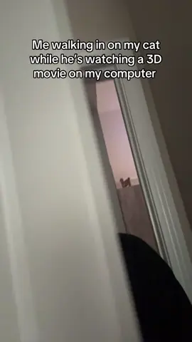 #cat #catsoftiktok 