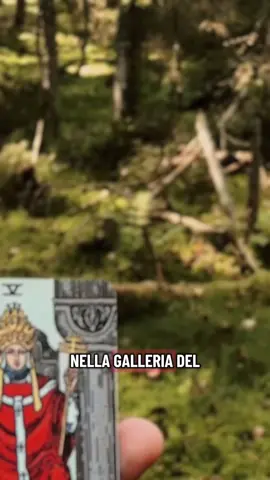 PER INFO CONSULTI SCRIVERE IN PRIVATO #cartomanzia #tarocchi #energiapositiva #spiritualità #perte #amore #destino 