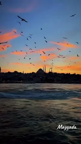 فات المعاد #ام_كلثوم #كوكب_الشرق_ام_كلثوم #طرب #foryou #محتوى 