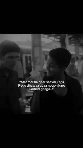 Like Bacground👍🏿 #fyp #fypシ゚ #xikmado #Ali #viral #viraltiktok #video #videoviral #viralvideos #fypage #fyppppppppppppppppppppppp #vaiprofycaramba #cali @ㄈ Λ Ł ɪ📚💡 @T ᵢ G ₑ ᵣ 