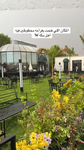 غيم وخيل ومطر اكتمل الجمال🐎#كافيهات_مكة #امطار_مكه_الان #فارم_كافيه #امطار_مكه #خيل 🐎