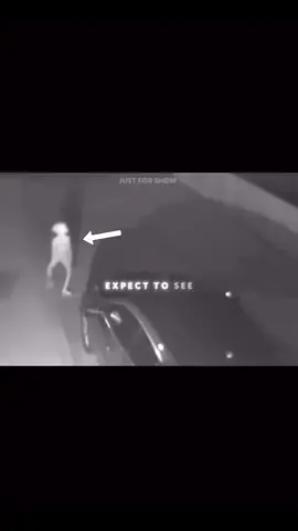 The Story of the legendary WOW Signal. #spacenews #wowsignal #spacetok #universe #alientheory 