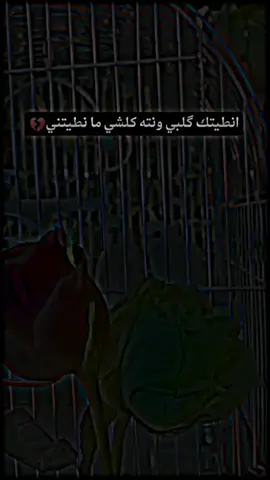 #صعدو_الفيديو #عباراتكم_الفخمه📿📌