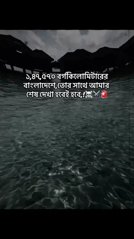 #১,৪৭,৫৭০ বর্গকিলোমিটারের বাংলাদেশে,তোর সাথে আমার শেষ দেখা হবেই হবে!☠️⚔️🚨