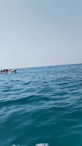 #فضل_الصلاةعلى_النبي_يوم الجمعة وليلة الجمعة #قران_الكريم #دعاء #اذكار 