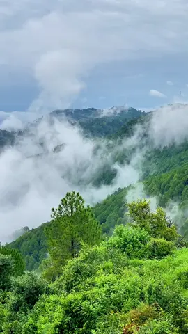 Come visit,Danohi Hill Top.❤️‍🩹kotli sattian.⛰️#foryou #foryoupage #moinsatti1 #trending #fyp 