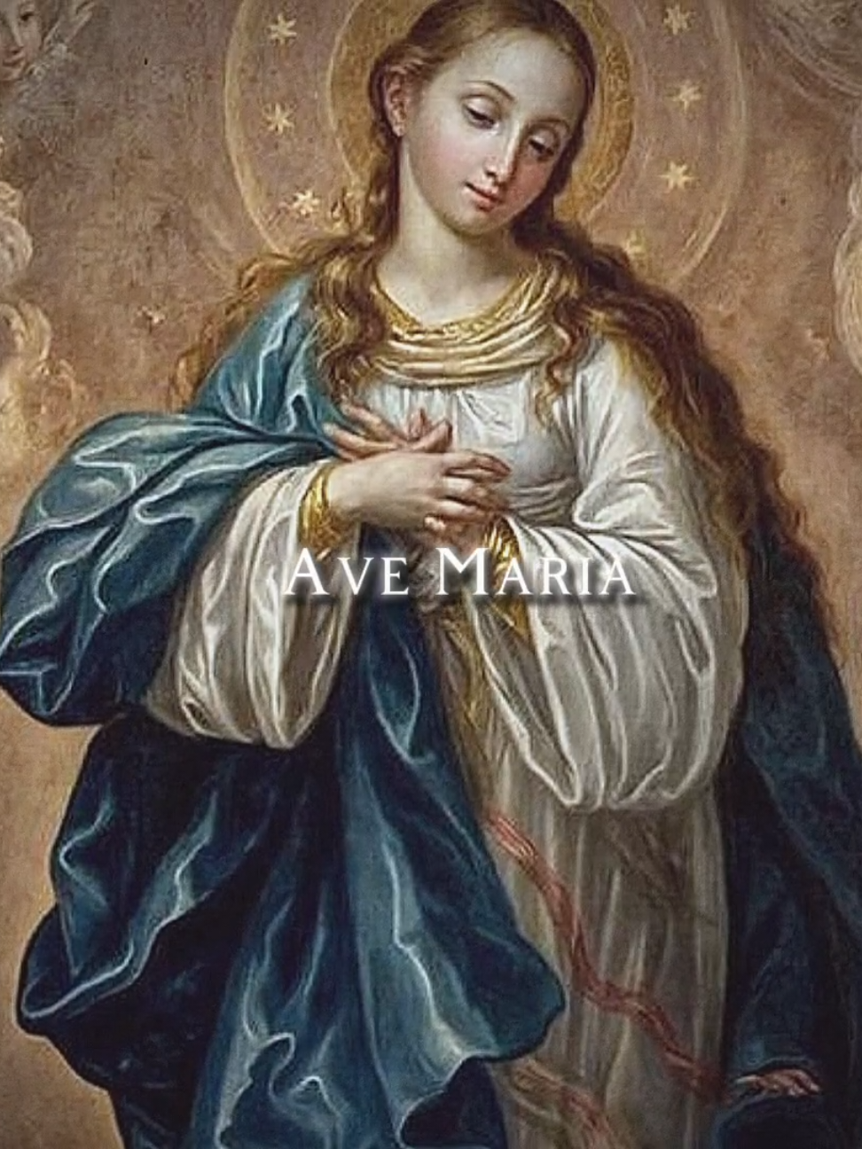 Theotókos #catholic #catolicos #jesus #foryou #nossasenhora 