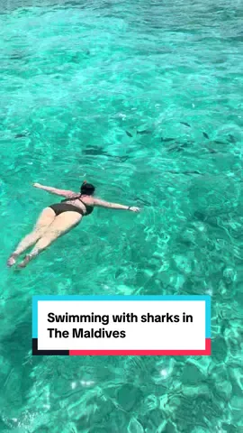 Swimming with black tip sharks in the Maldives 🦈 . #maldives #travel #travelcontent #fyp #swimwithsharks 