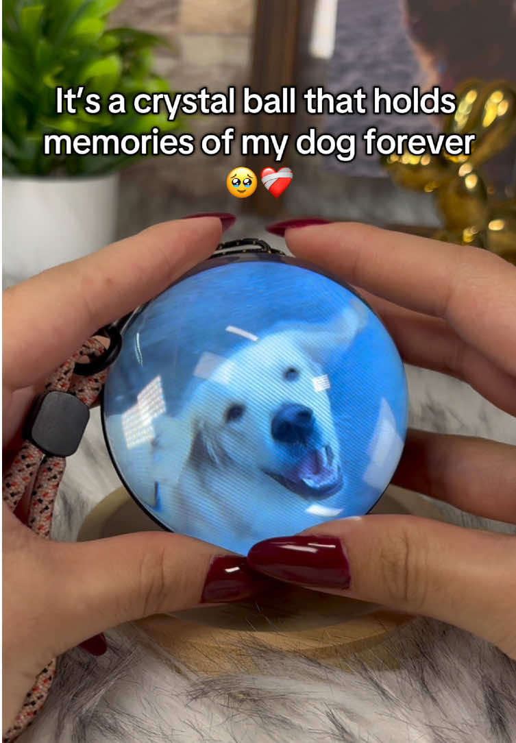 It’s the best gift I got 🥹 - Is a personalized crystal ball that plays your favorites videos. Perfect for remembering your favorite memories with your dogs 🐶 💕 #doglover #crystalball 