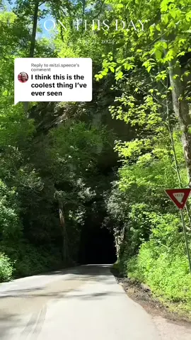 Nada Tunnel #redrivergorge #appalachia #easternky #hauntedappalachia 