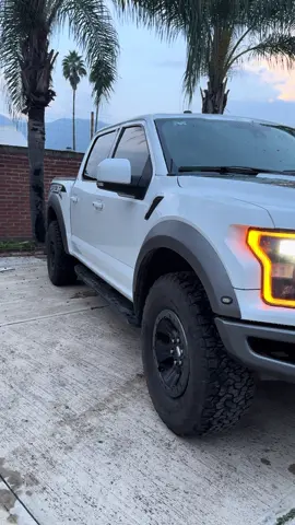 Una #guapa #raptor #ford #fordf150 #jalisco 