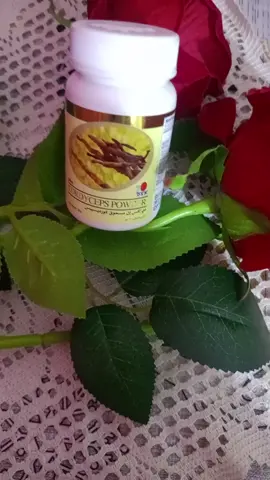 الفوائد الصحية المحتملة لفطر الكورديسبس - تعزيز المناعة: يحتوي على مركبات مثل السكريات المتعددة والنيوكليوسيدات المعدلة التي قد تساعد في تقوية جهاز المناعة وتقليل الالتهابات. - مكافحة الشيخوخة: يُعتقد أن مضادات الأكسدة فيه تساهم في تقليل التعب، تعزيز القوة الجسدية، وتحسين الذاكرة. - تحسين الأداء الرياضي: قد يساعد في زيادة إنتاج ATP، وهو جزيء مسؤول عن نقل الطاقة للعضلات، مما يعزز القدرة على التحمل. - دعم صحة القلب والرئتين: تشير بعض الدراسات إلى أنه قد يُحسن وظائف الجهاز التنفسي والدورة الدموية. - مقاومة الأورام: أظهرت دراسات مخبرية أن له اكو توصل جميع محافظة يرسل على وتساب حجز ❤️🥰 على سعر #ميسان_ذي_قار_البصرة_بغداد #اربيل_دهوك_سليمانية_كركوك_بغداد 