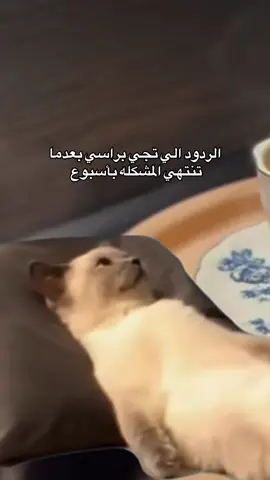 😭😂