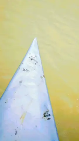 #CapCut😵‍💫 🍁