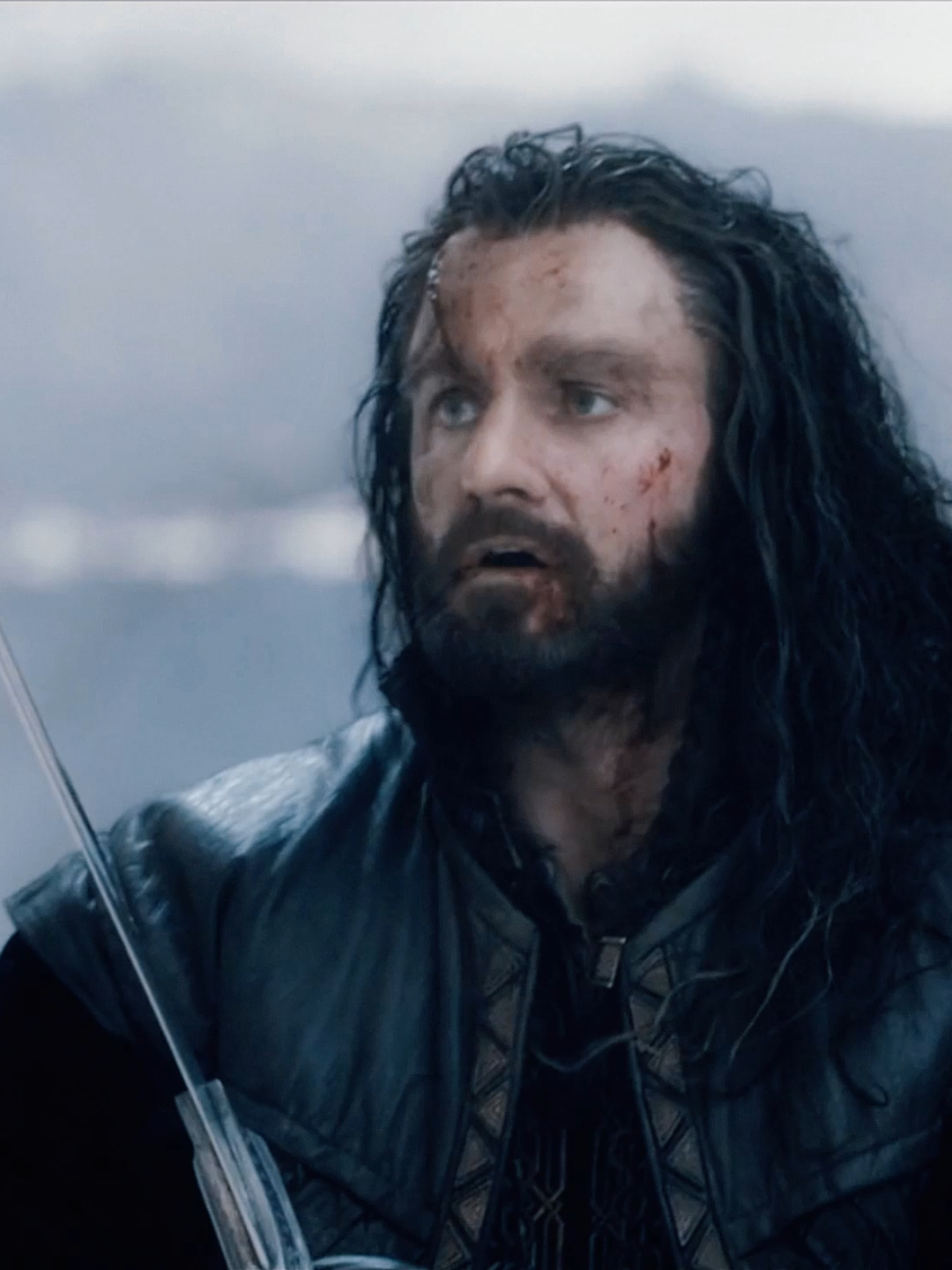 Let Down Thorin | #lordoftherings #thehobbit #thehobbitbattleoffivearmies #bilbobaggins #thorinoakenshield #bagginshield