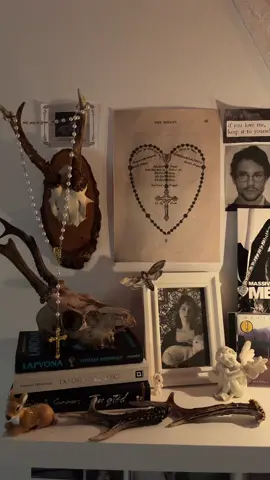 an update on my wall #fyp #roominspo #southerngoth #wlw #hannibal 