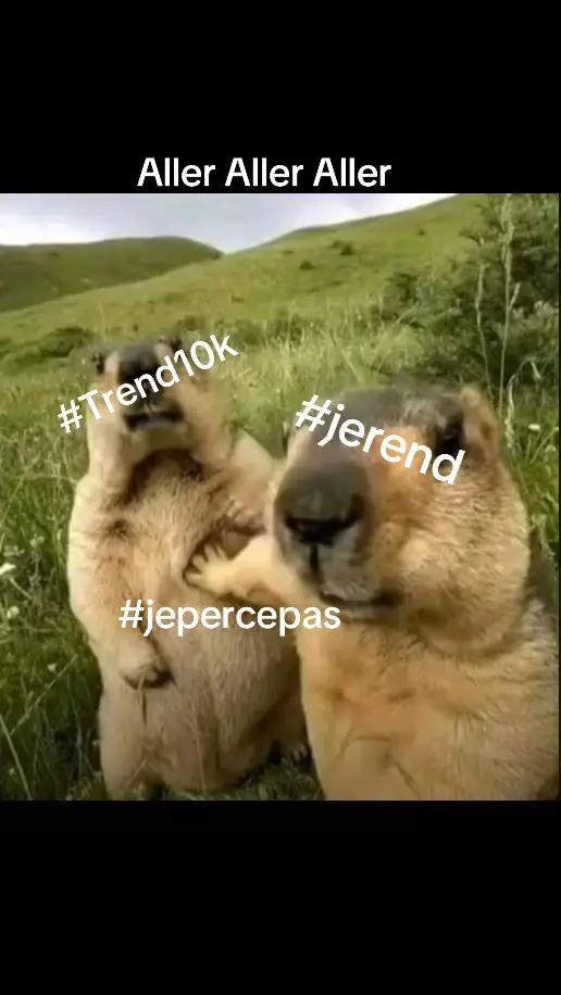 #10k #trand10k #jerend #jerends #trand 