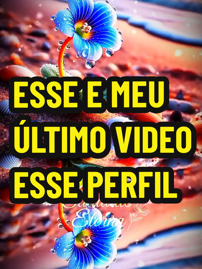 Muito obrigado para quem esteve até aqui comigo , Deus abençoe 🙏  . #ultimovideo #despedida #xau #foryou 