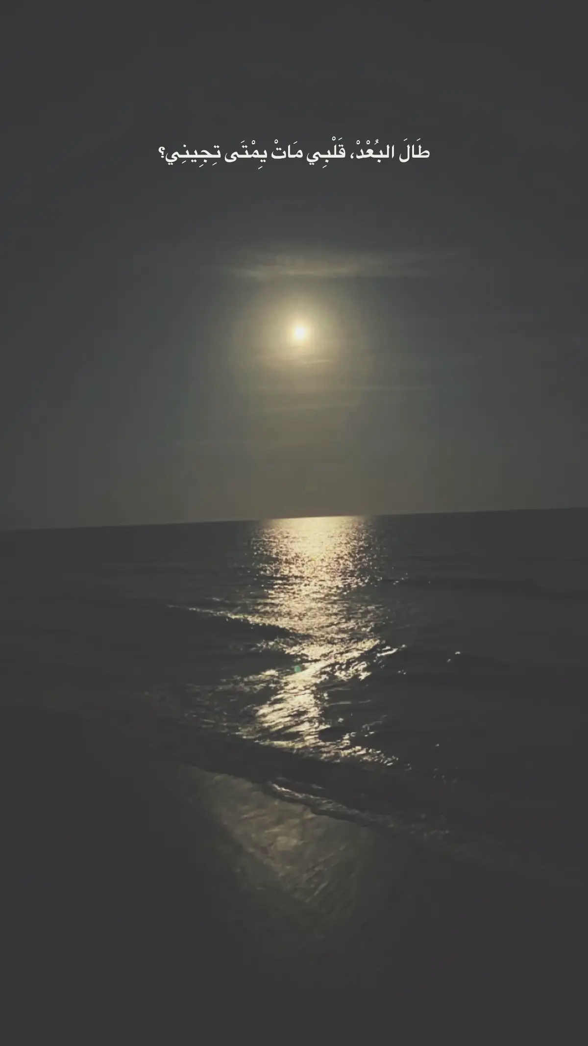 #fyppppppppppppppppppppppp #اكسبلور؟ 