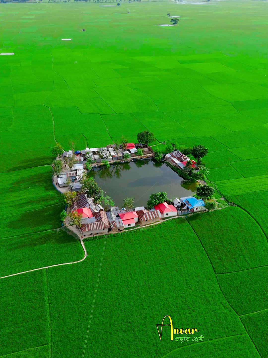 শান্তির নীড়📷