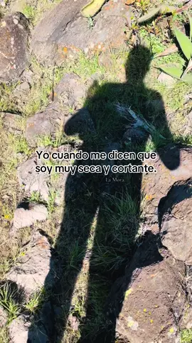 La neta yo me quiero mucho❤️ #mushasha #cortantesyseca #rancholife #contenidoviral #ganado 