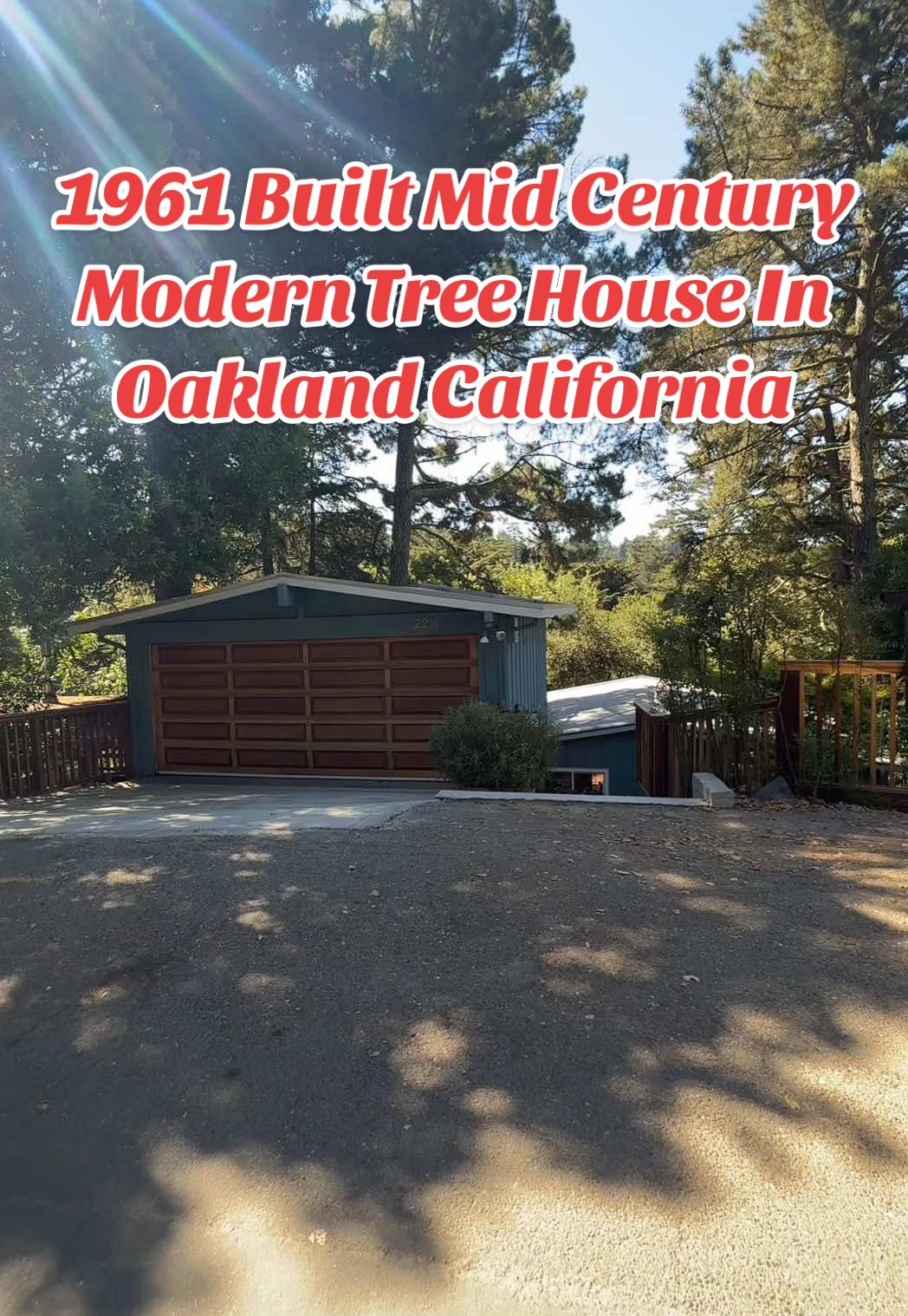 1961 Built Mid Century Modern Treehouse In The Montclair Neighborhood Of Oakland California  #montclair #eastbay #hometours #bayarea #bayarearealestate 