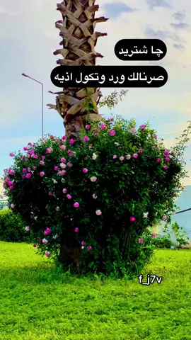 #اقتباسات #عبارات #خواطر  #fyp #fypage 