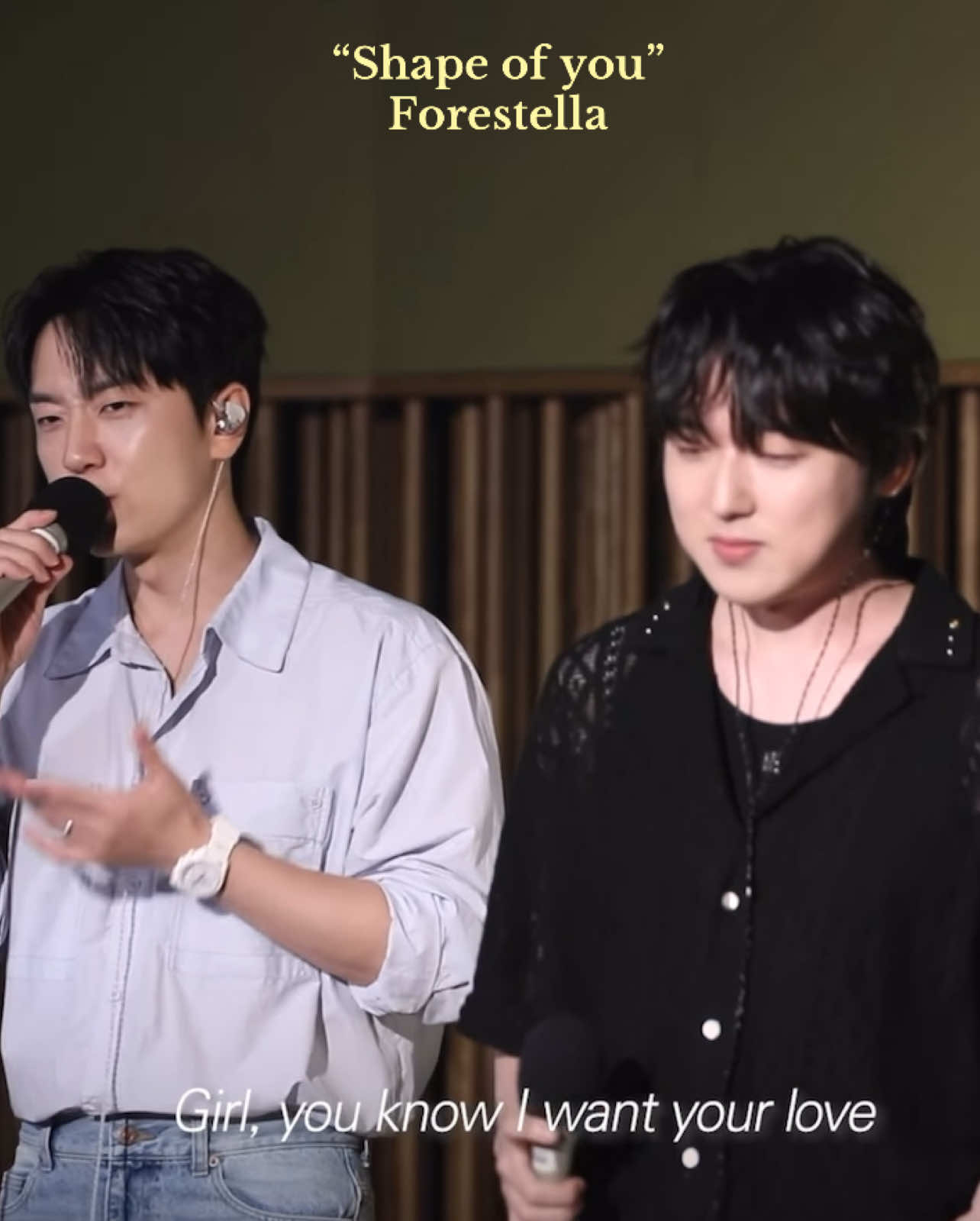 Shape of you Forestella 2025.8.21 ✨💖 Starry Night Concert in Studio✨💛 #BaeDoohoon #KangHyungho #KOWOORIM #ChoMingyu #Forestella