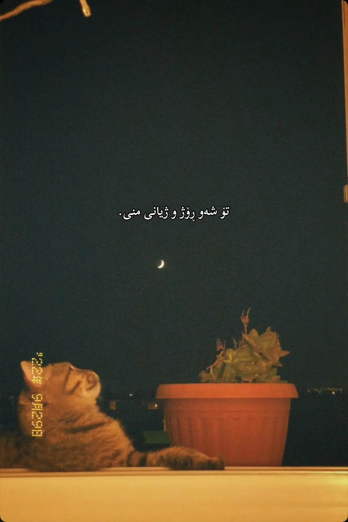 #fyp #fypシ゚ #عەدنان_کەریم #trend #trending #کورد #tiktok 