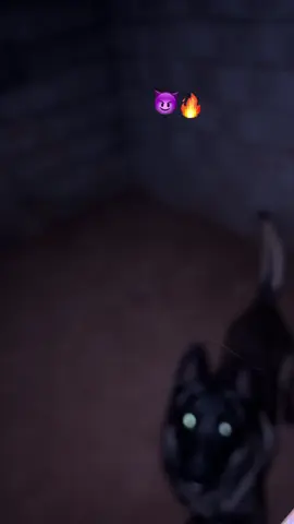 #كلاب_شرسة #كلاب_ملينوا🔥 #زاويه_العنقاء_ليبيا🇱🇾 