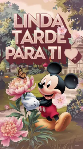 Linda tarde ✨ #paratii #mickeymouse #buenastardes #donflan 