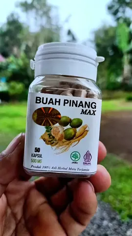kapsul buah pinang muda#buahpinang #kapsulbuahpinang #pinangmuda #buahpinangmuda 