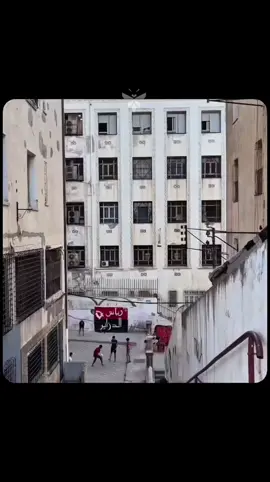 سيد احمد سقلاب يتحدث عن معايير استقلال فالجزائر  . . . #pourtoi #algerie #seglab #harga #الهجرة 