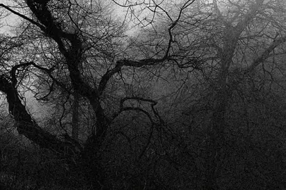 Halloween in Heaven - Type O Negative #halloweeninheaven #typeonegative #music #fyp #un 