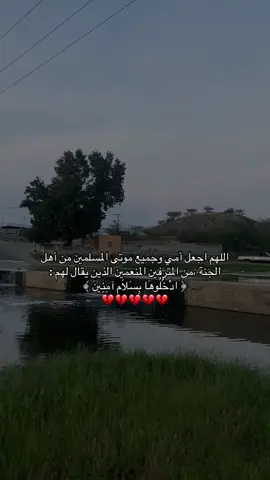 #اللهم_ارحم_امي #صدقه_جاريه_لجميع_اموات_المسلمين #fyp #youtube #meme 