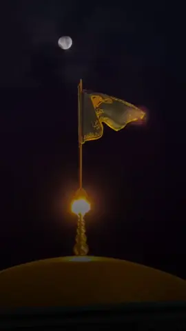 ياعلي ابن موسى الرضا #مشهد 