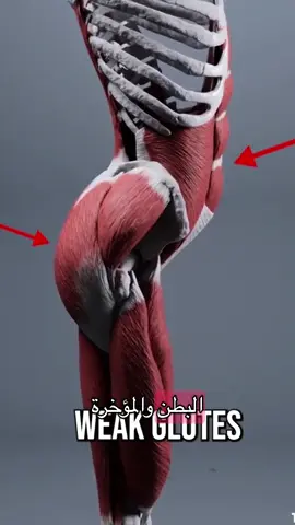 تمرن قلوتس وخلفيات زي الناس واترك عنك البربرة واذا كبرت وش يعني 🤣 #fyp #تمارين #تصحيح#دايت #explore 