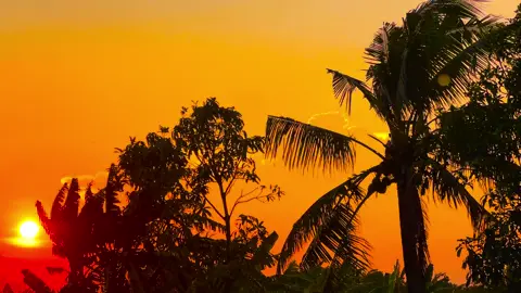 Có chút bình dị ở vùng đất miền Tây #music #chill #nhacnaychillphet #xuhuong #binhyen 
