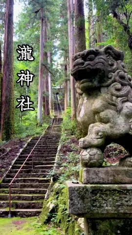 瀧神社⛩️板取川の川上、杉桧の古木の茂る深淵なる境内に清らかなる瀧の落ちる所、標高４２０メートルの高地に鎮座する。御祭神は瀬織津比売命、罔象女神である。古い神明帳には赤瀧明神とある。高賀六社の一社であり、他の五社とともに瓢ケ嶽の妖魔を退治した藤原高光公の創祀になる神社でその後高光公の三男藤原高経権守が金峰神社を尊崇守護した。本殿を虚空蔵堂といって、修験道色の強い神社であった。#神社巡り #パワースポット #癒やし #岐阜観光 