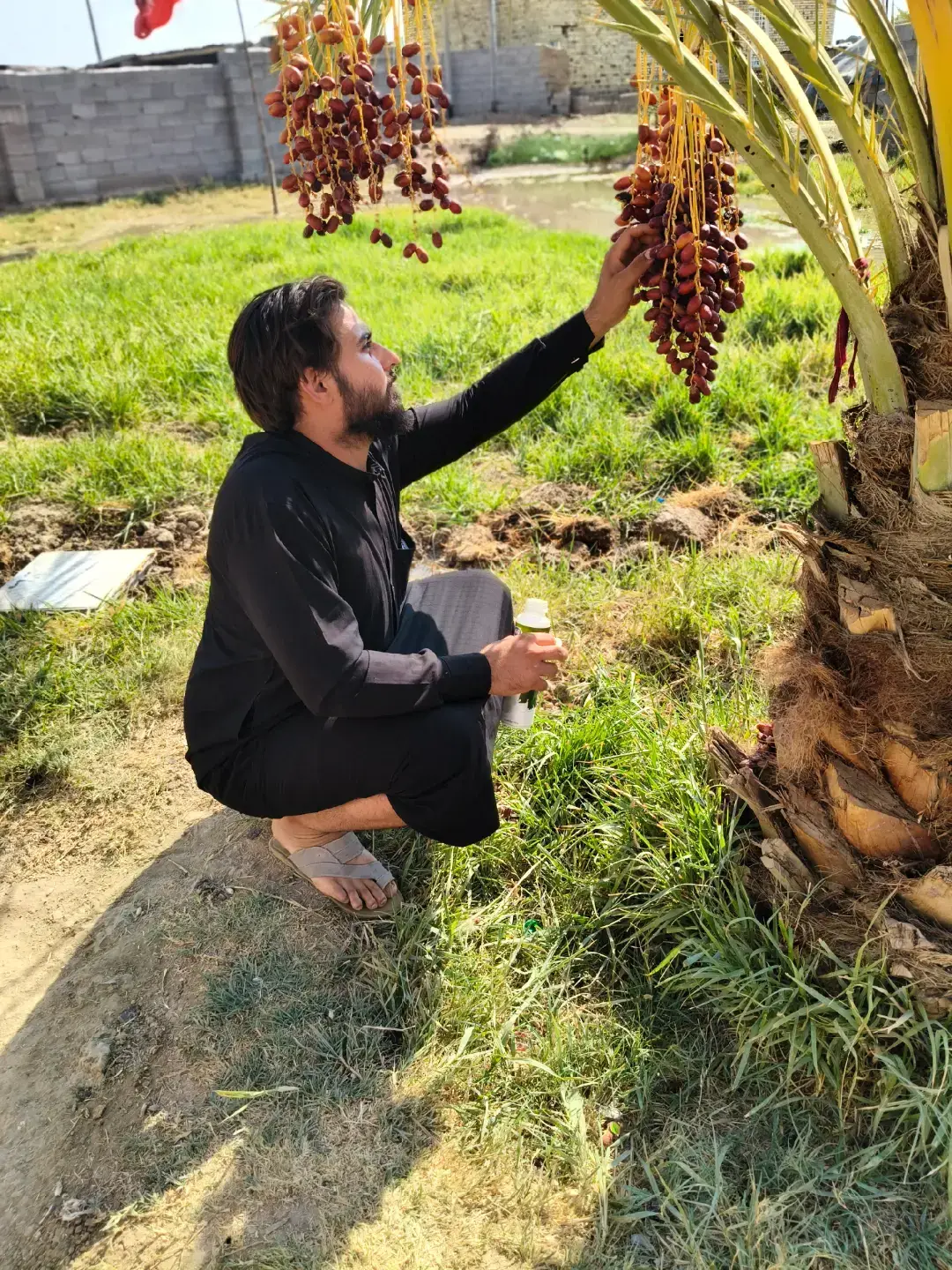 #العماره_ميسان #مجرد________ذووووووق🎶🎵💞 