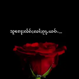#fyppppppppppppppppppppppp #ဆယ်လီမှအသဲပေးတာလား😔😑 #PNလိၵ်ႈပွတ်း #ၽၢၵ်ႇတိတ်းတၢမ်းၽွင်ႈၶ💗 