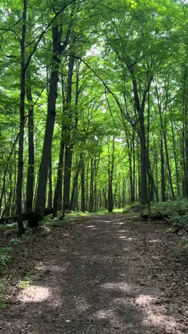 sometimes you just need to be in the upper peninsula #upperpeninsula #michigan 