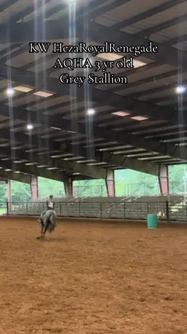 This boy #barrelhorses #horsetrainer #gettingittogether 