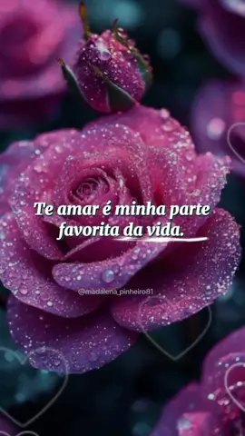 Experimente esse modelo.Substitua a foto pela sua e faça uma homenagem para alguém especial. #CapCut #modelos #fhos #teamo #amor   @Madalena Pinheiro 