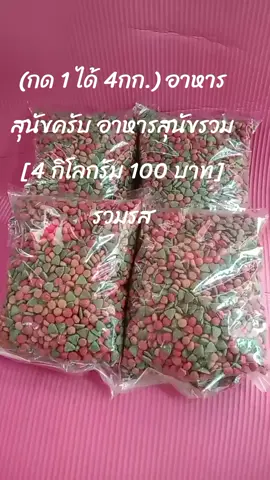 #(กด 1 ได้ถึง 4 กก.) อาหารสุนัข อาหารสุนัขรวม  [ 4 กิโลกรัม 100 บาท ] รวมรส