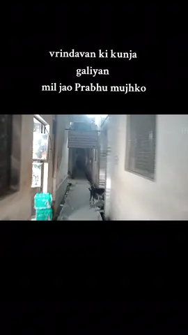 Kunja galiyan. Vrindavan. Jay siyaram.#surkhet #gurudev #anjalis_life #nepal #vrindavan 