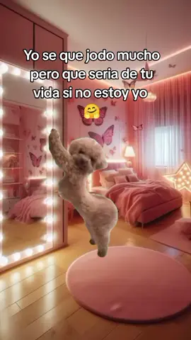 #Meme #MemeCut #CapCut 