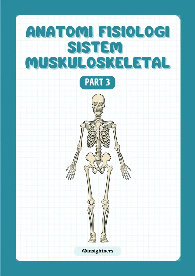 #anatomifisiologi #skeletal #materikeperawatan #materikeperawatan #keperawatan 