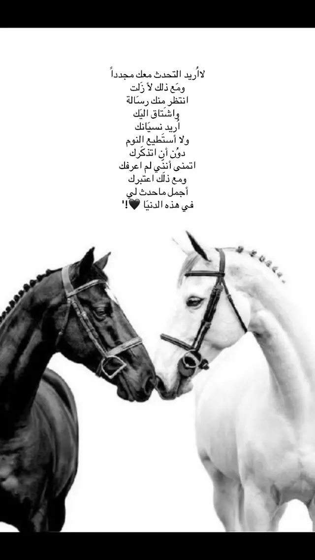 #كلام_من_القلب 